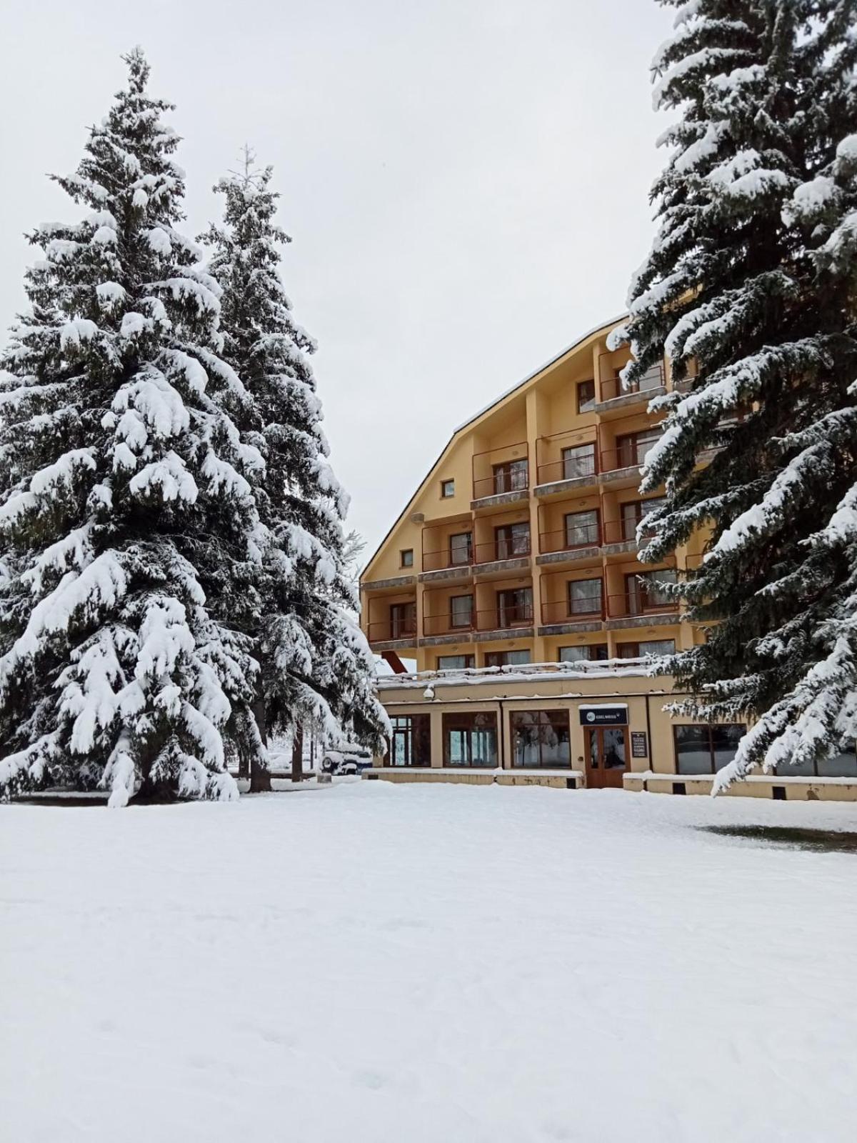 Apartamentos Snoe Edelweiss Cerler Extérieur photo